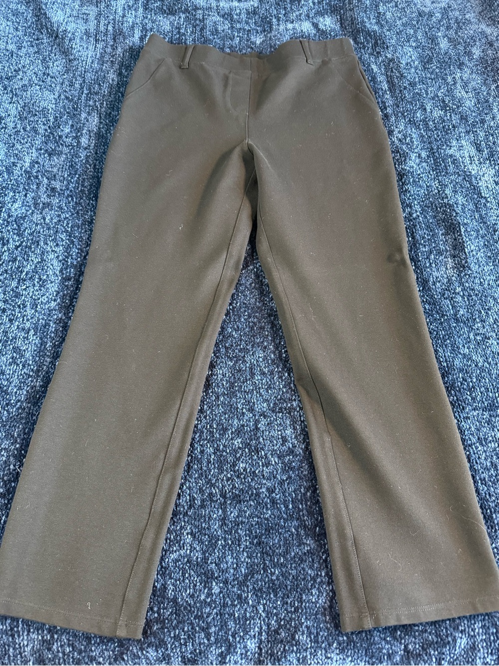Quince Ultra-Stretch Ponte Straight Leg Pants Black M X-Petite